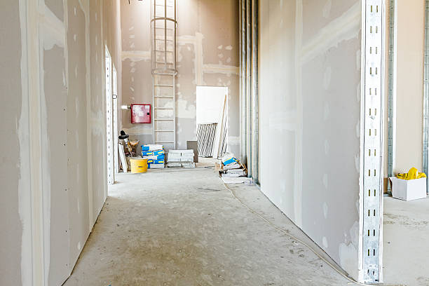 Best Drywall Removal and Disposal  in Osawatomie, KS